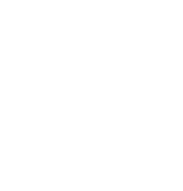 Wifi rental