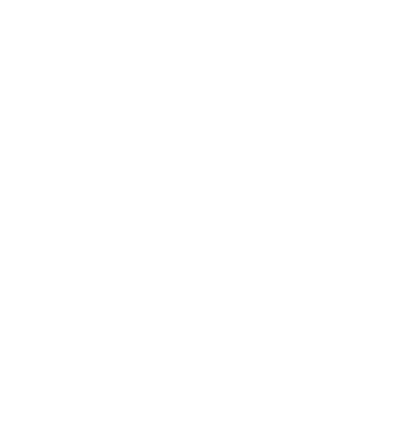 Server rental